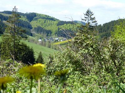 Haus Wald-Eck - Rehsiepen Sauerland - Wandern im Sorpetal