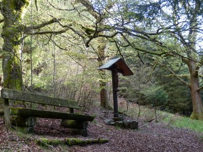 Haus Wald-Eck - Rehsiepen Sauerland - Wandern im Sorpetal