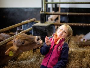 24050558-Ferienwohnung-5-Schmallenberg-300x225-2