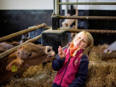 Aktive Landwirtschaft