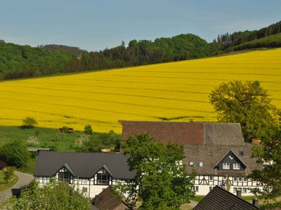 Ferienwohnungen Übern Hof - Familie Wiese - Schmallenberg-Dornheim