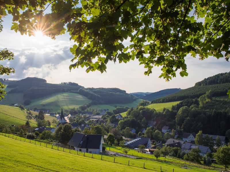 22776857-Ferienwohnung-2-Schmallenberg-800x600-1