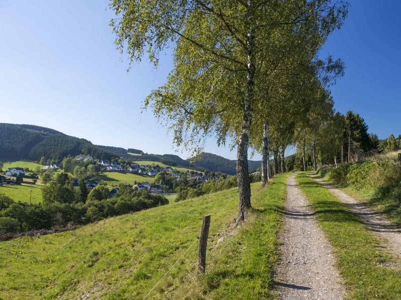 23494967-Ferienwohnung-4-Schmallenberg-800x600-2