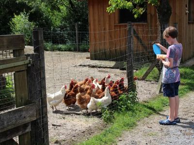 Ferienbauernhof Voß in Lenne - Sauerland