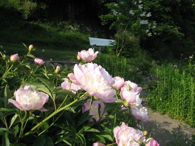 Garten Ferienwohnungen Otto, Nordenau Sauerland