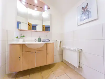 Bad  Wohnung Katze