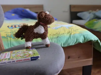 Ferienhof Belke-Spork - Schmallenberg-Holthausen - Wohnung Schwalbe