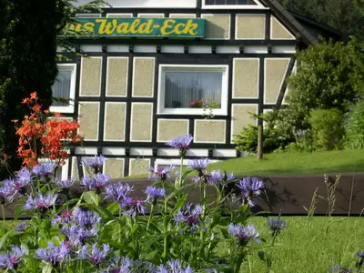 Haus Wald-Eck - Rehsiepen Sauerland