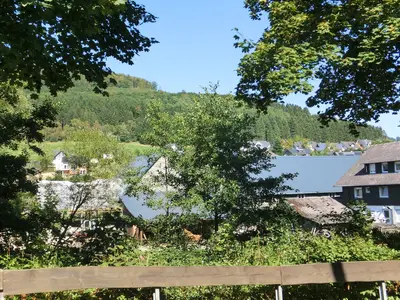 ViewSummer