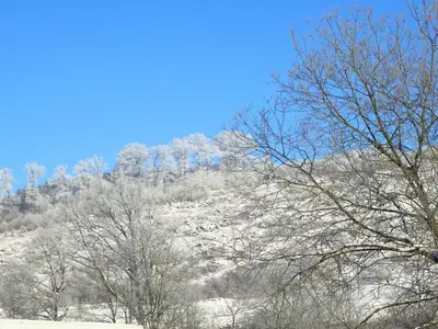 AreaWinter20KM