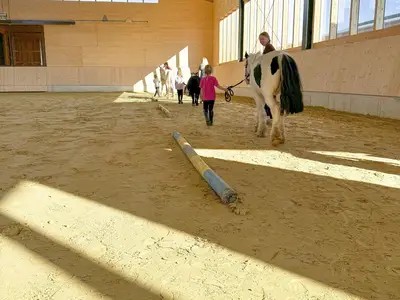 Sport / Aktivitäten