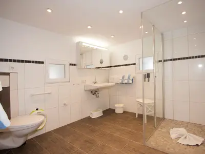 Ferienbauernhof Voß Lenne, Sauerland - Ferienwohnung Katze