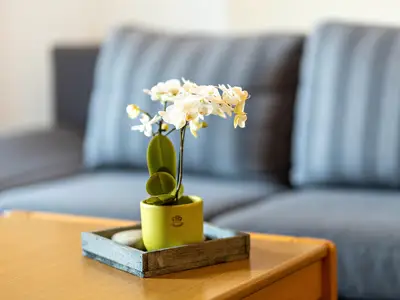 Photo, INSIDE, OUTSIDE