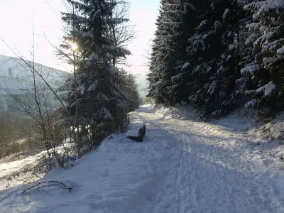 Golddorfroutenweg direkt oberhalb des Ferienhauses in Richtung Gut Vorwald