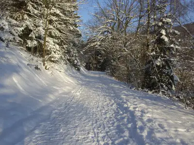 Golddorfroutenweg direkt oberhalb des Ferienhauses nach Oberkirchen
