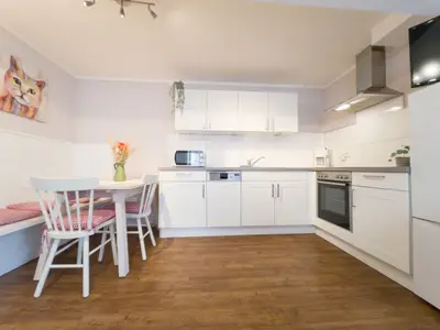 Küche  Wohnung Katze