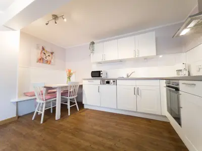 Küche  Wohnung Katze