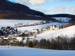 Ferienwohnung für 4 Personen (35 m²) in Schmallenberg