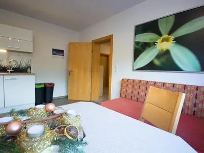 Ferienwohnung Plattner-7
