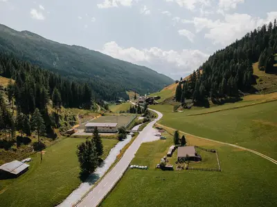 Schmirn-Alpenblumengarten_JohannesBitter_TVB-Wippt