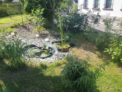 Ferienwohnung für 9 Personen (89 m²) in Schneeberg 3/10