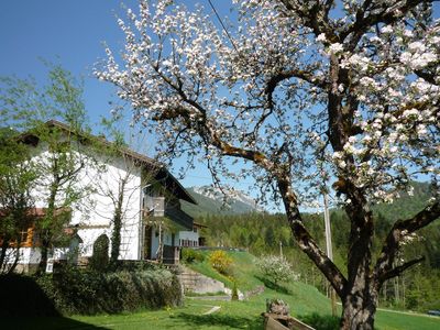 Nebenhaus mit Ferienwohnungen