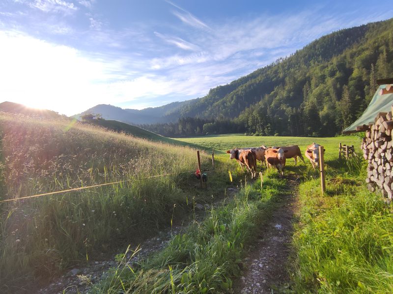 22429185-Ferienwohnung-4-Schneizlreuth-800x600-1