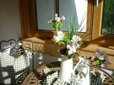 Ferienwohnung für 4 Personen (40 m²) in Schneizlreuth 10/10