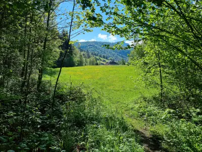 Rückansicht vom Haus
