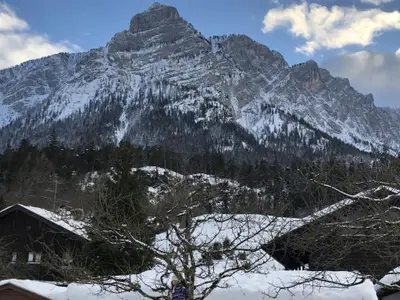 Winterblick