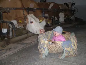 Ferienwohnung für 2 Personen (25 m²) in Schneizlreuth