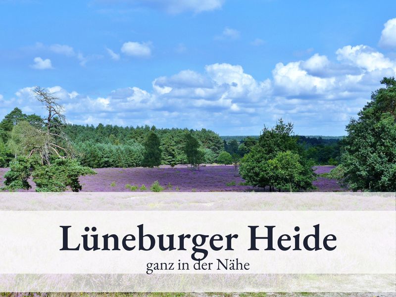 Lüneburger Heide