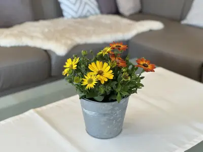 Wohnzimmerdeko