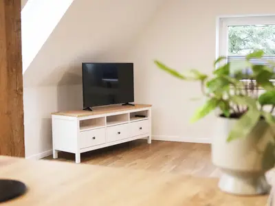 TV im Wohn-Essbereich