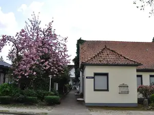 Ferienwohnung für 2 Personen (42 m²) in Schneverdingen