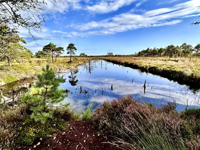 Pietzmoor