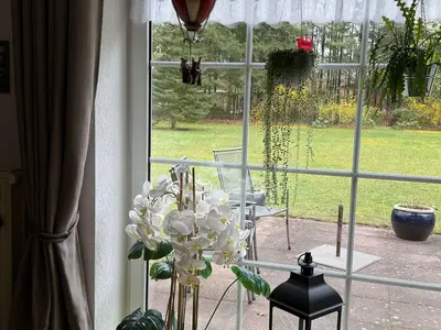 Blick in den Garten