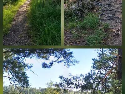 Impressionen