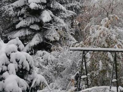 Garten im Winter