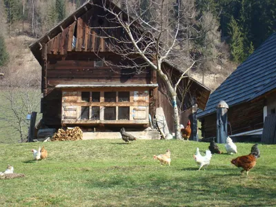DSC04275