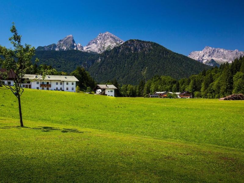 19355350-Ferienwohnung-3-Schönau am Königssee-800x600-2