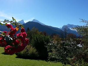 23676884-Ferienwohnung-4-Schönau am Königssee-300x225-2