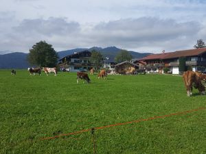 Ferienwohnung für 4 Personen in Schönau am Königssee