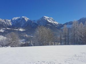 23993337-Ferienwohnung-3-Schönau am Königssee-300x225-3