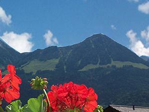 13443994-Ferienwohnung-2-Schönau am Königssee-300x225-4