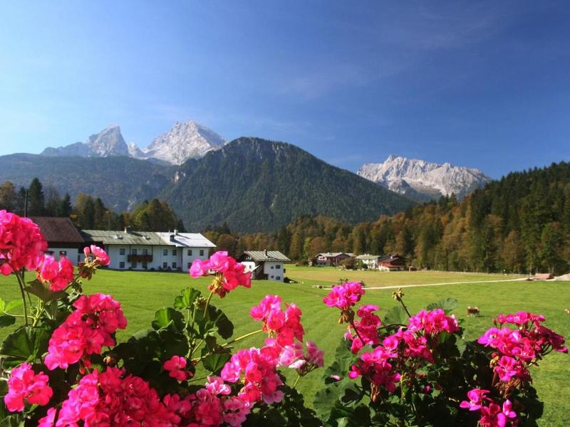 19355350-Ferienwohnung-3-Schönau am Königssee-800x600-1