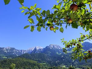 22367187-Ferienwohnung-4-Schönau am Königssee-300x225-2