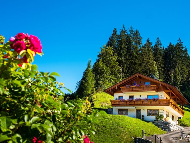 17924349-Ferienwohnung-4-Schönau am Königssee-800x600-0