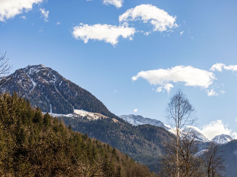 23920742-Ferienwohnung-4-Schönau am Königssee-800x600-2