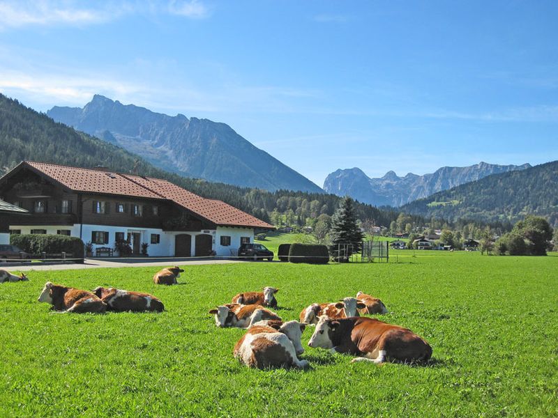 23117501-Ferienwohnung-2-Schönau am Königssee-800x600-2